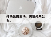 半岛体育官网-孙杨受伤离场，伤情尚未公布。
