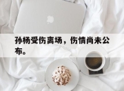 半岛体育官网-孙杨受伤离场，伤情尚未公布。
