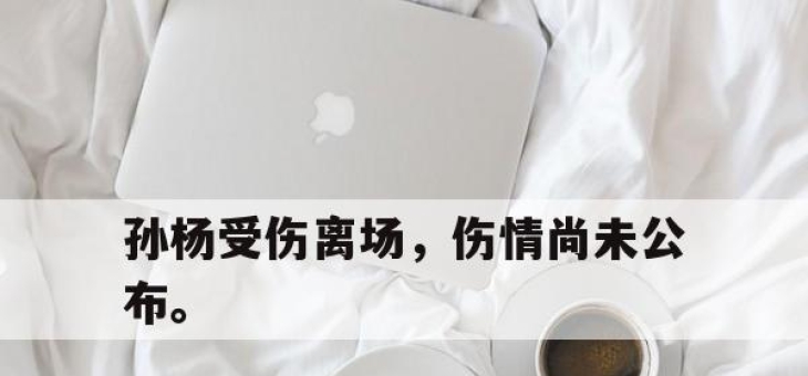 半岛体育官网-孙杨受伤离场，伤情尚未公布。
