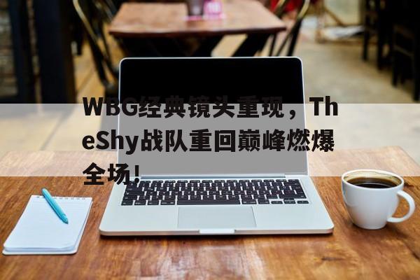 WBG经典镜头重现，TheShy战队重回巅峰燃爆全场！